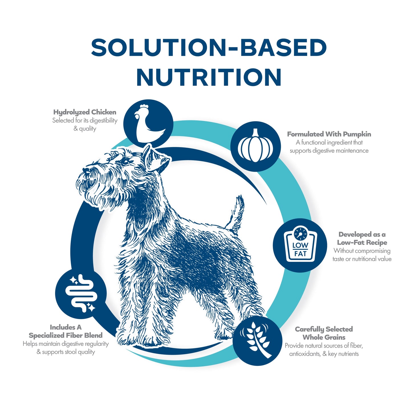 Fromm Nutritionals Digestive Support Low Fat Chicken & Oatmeal Recipe, Dry Dog Food
