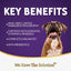 Zignature Grain Free Limited Ingredient Catfish Dry Dog Food