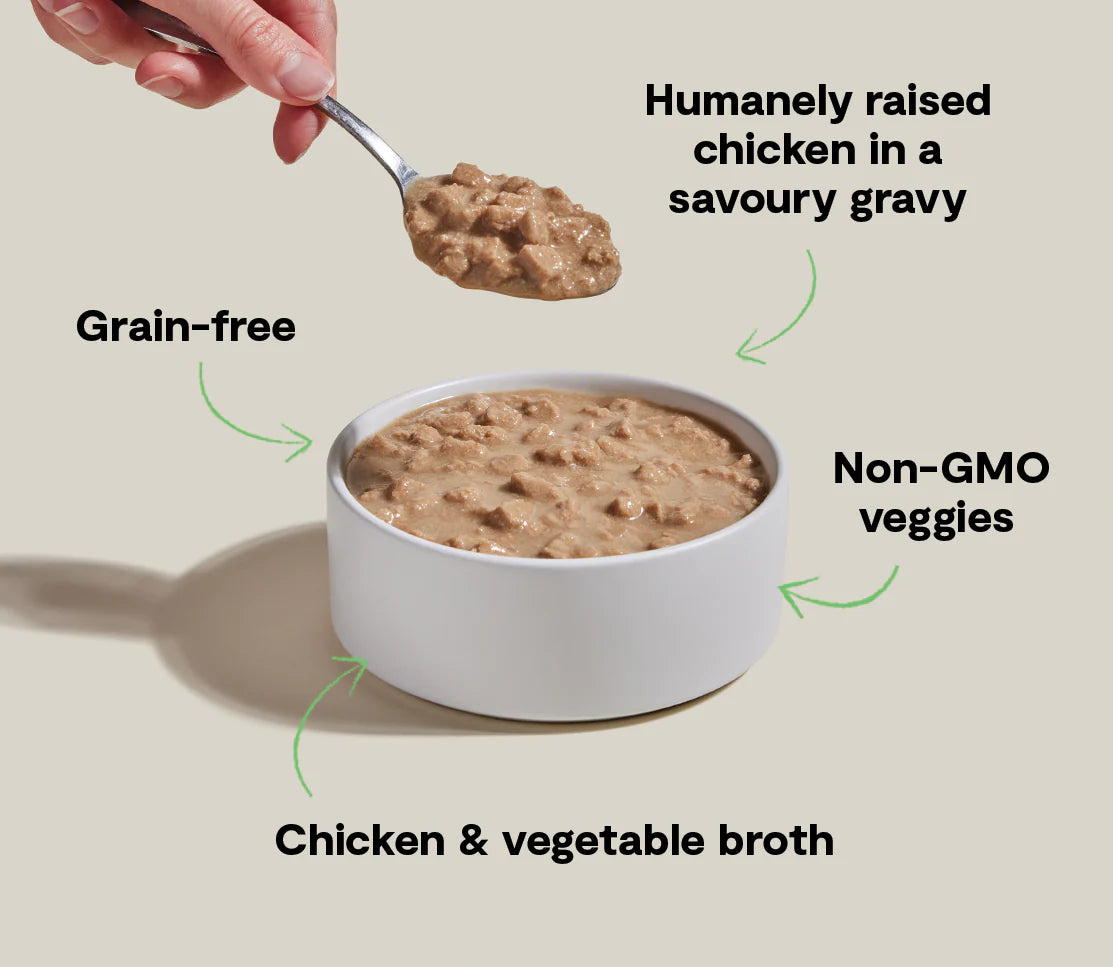 Open Farm Harvest Chicken Morsels in Gravy for Cats, Wet Cat Food, 5.3-oz, Case Of 12