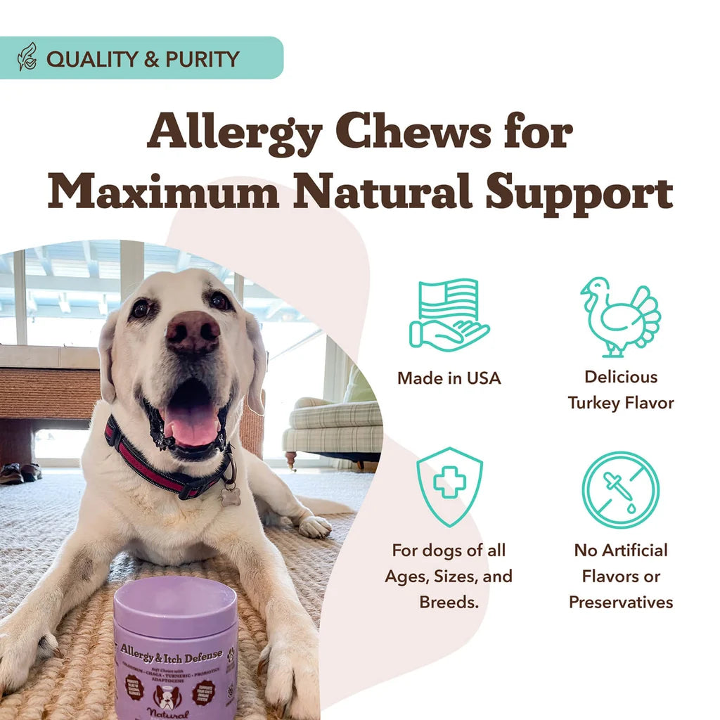 Natural Dog Company Dog Allergy & Itch Defense, 90-Count, Dog Supplement