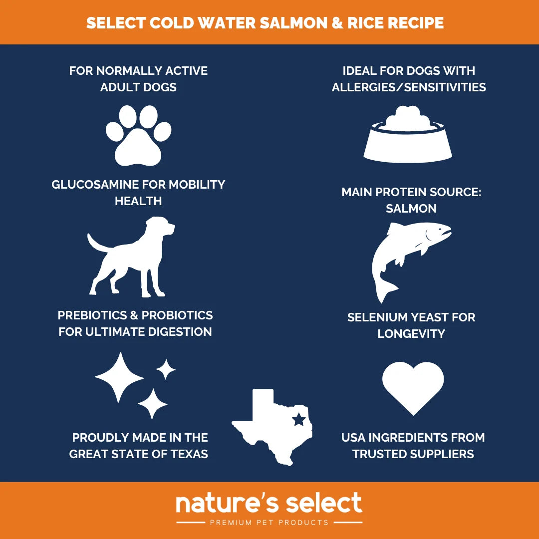 Nature's Select Cold Water Salmon & Rice Recipe, Dry Dog Food, 28-lb Bag