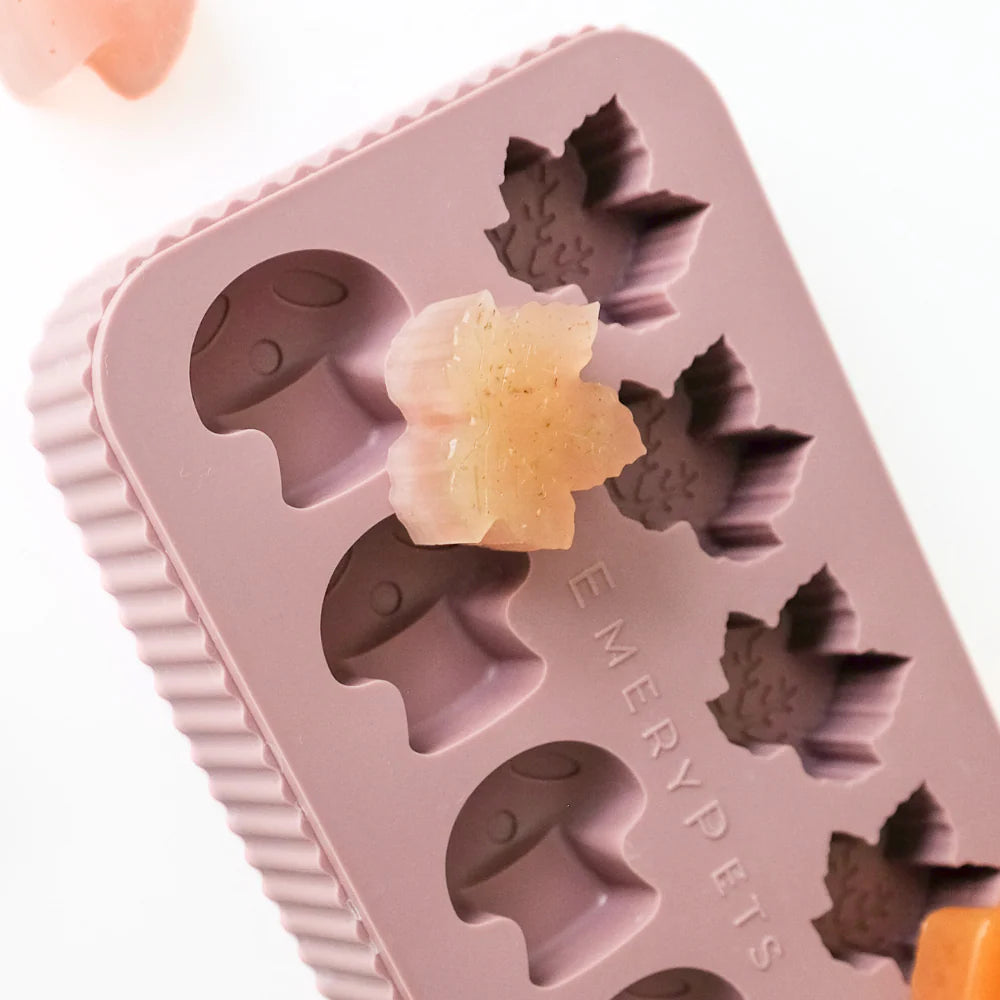 EmeryPets Maple Leaf + Mushroom Treat Mold