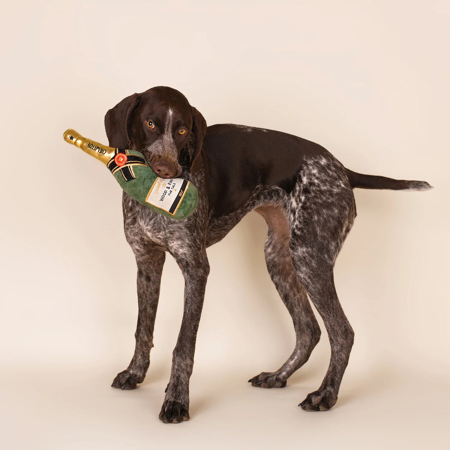 Chewffon Champagne Squeaky, Dog Toy