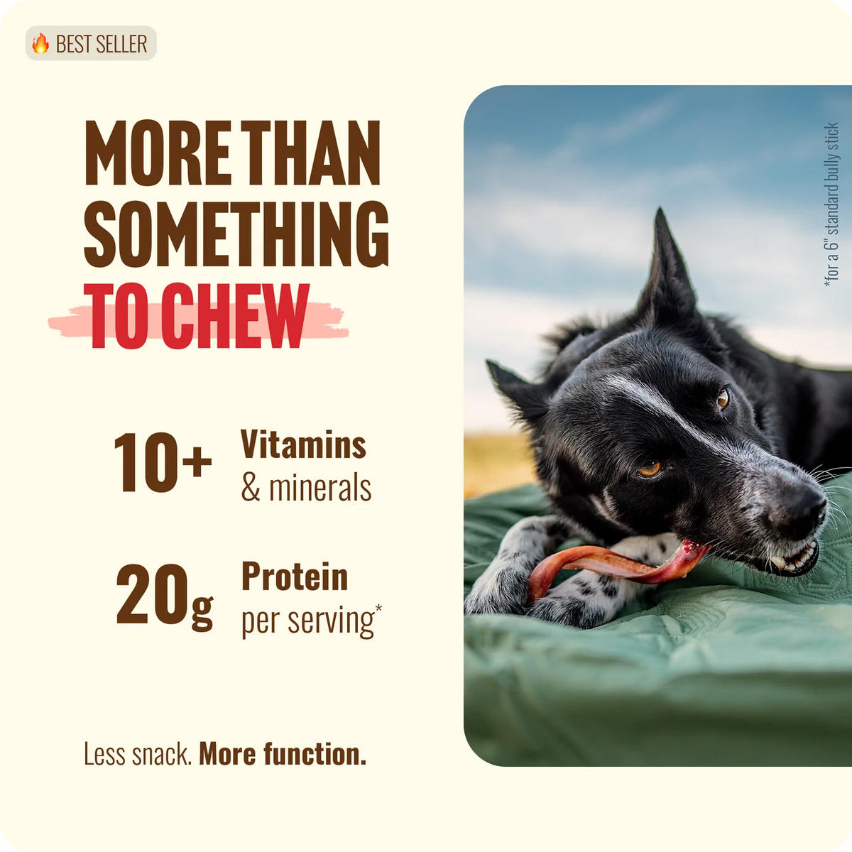 Natural Farm 5-6in Bully Springs, Dog Chews