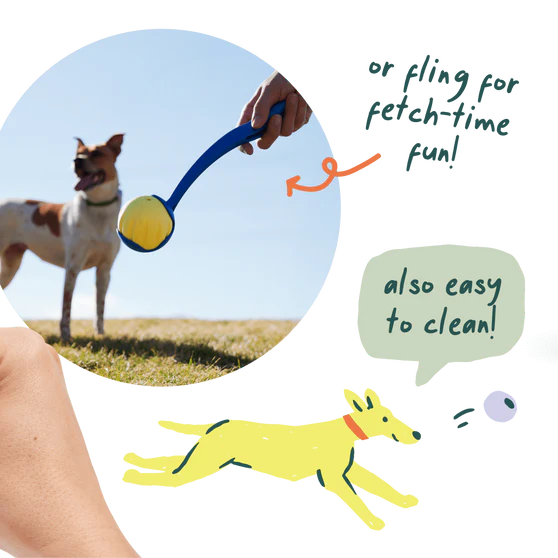 Woof Forager Flyball 3-Pack, Dog Toy