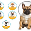 ZenPet E-ClearCollar Recovery Collar For Dogs