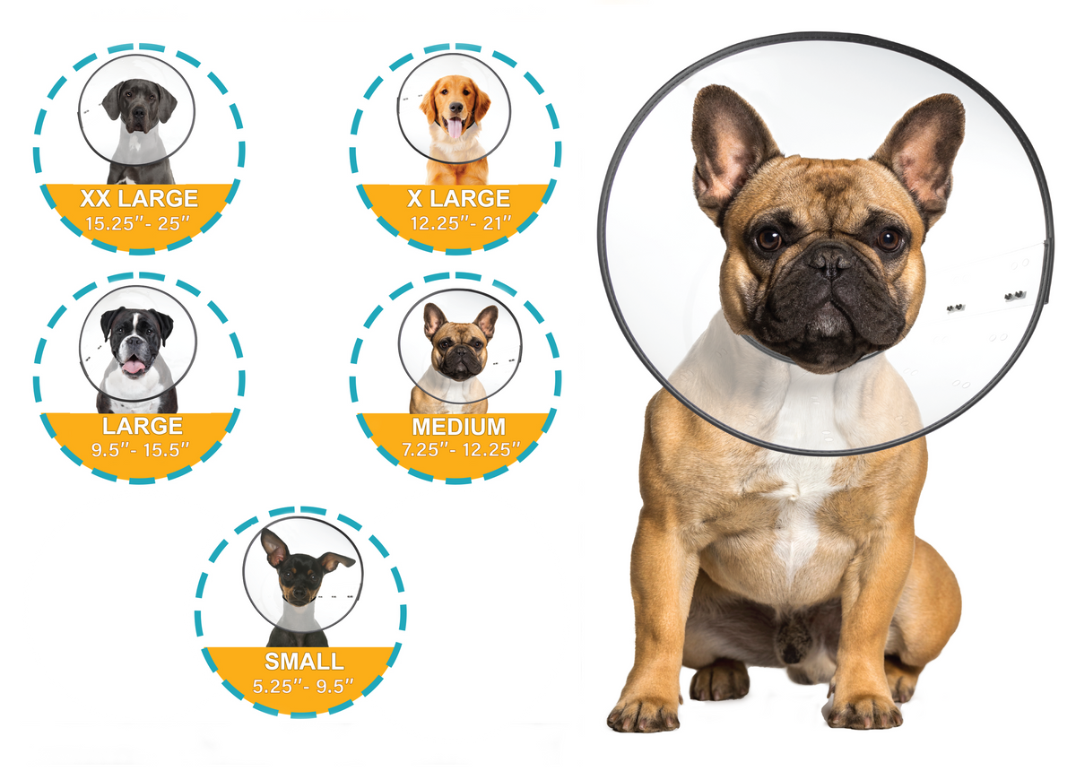 ZenPet E-ClearCollar Recovery Collar For Dogs