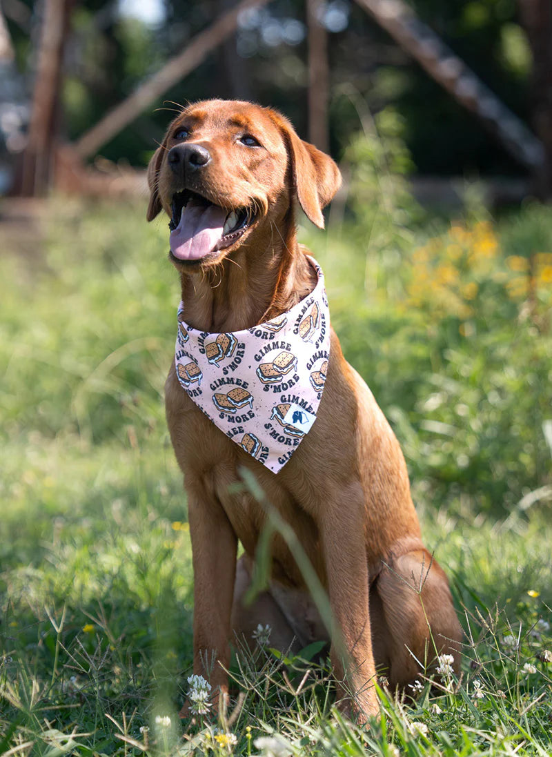 Dog Bandana Co. Camping & Smores Dog Bandana Tie & Snap