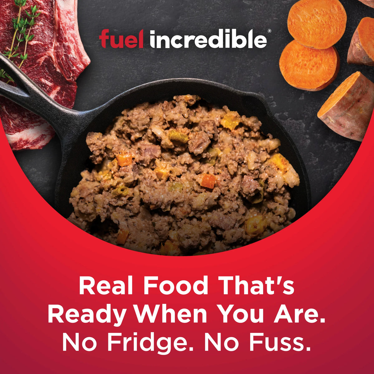 Nulo Gently-Cooked Meals Lamb & Apple Recipe, Wet Dog Food, 9-oz Case of 8