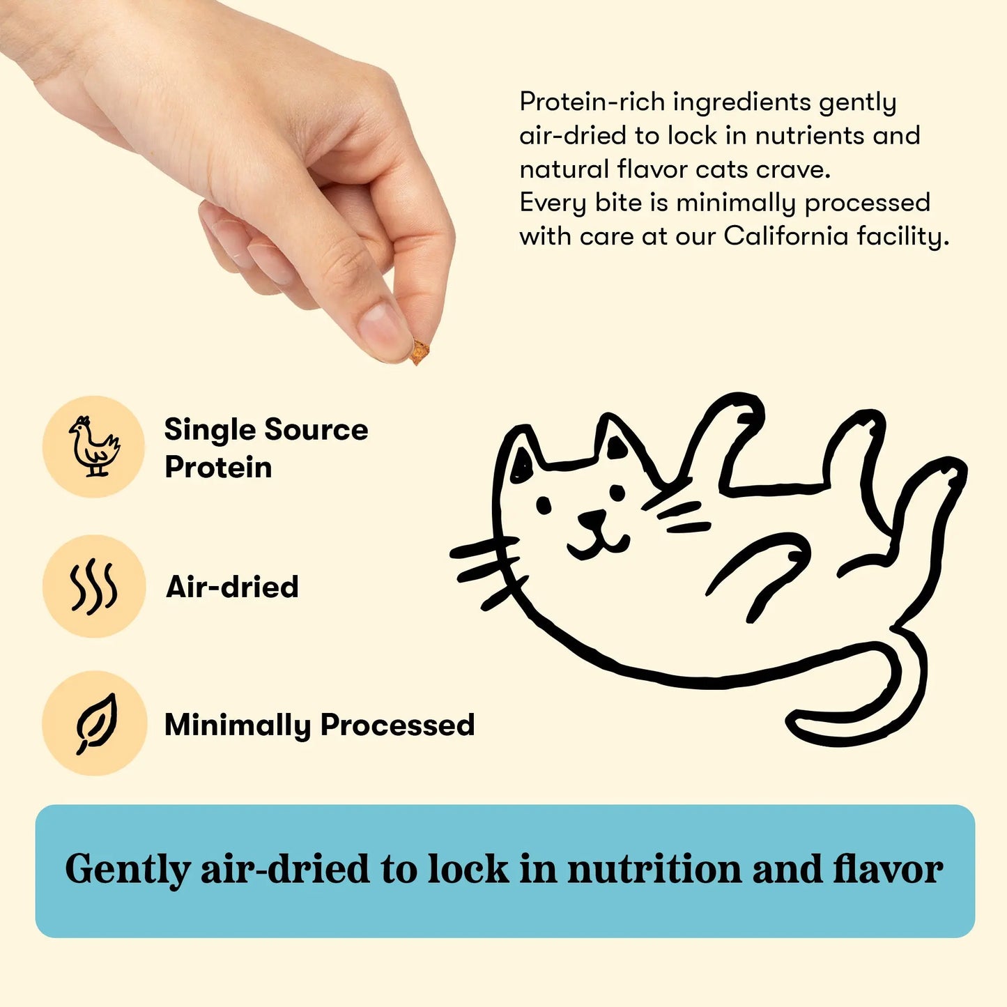 Plato Air-Dried Chicken & Catnip, Cat Treat, 2.5-oz Bag