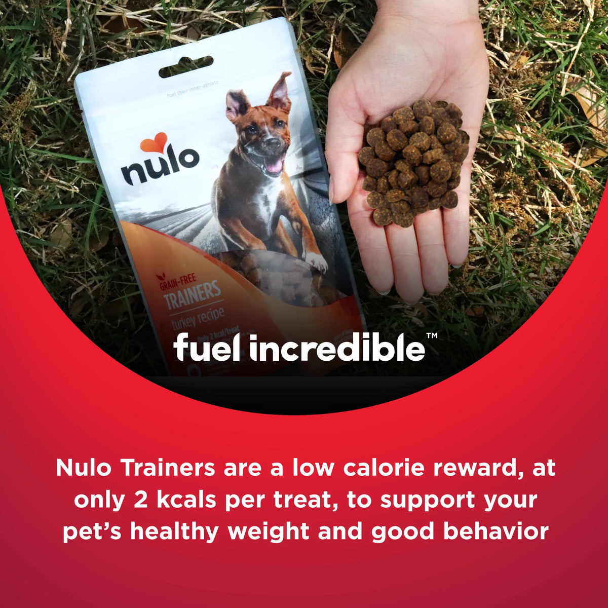 Nulo Trainers Grain-Free Duck Recipe, Dog Treat