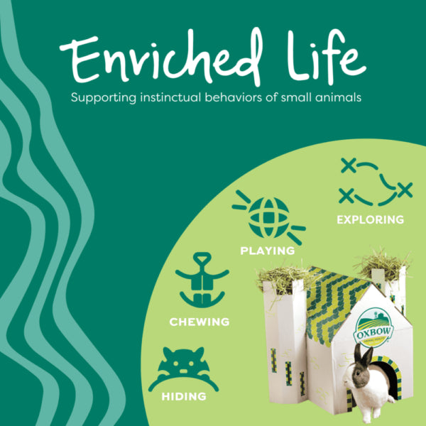 Oxbow Enriched Life Garden Dig Box