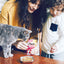 Inaba Twin Packs Tuna & Chicken Recipe in Tuna Broth, Wet Cat Food, 2.08-oz Case of 6