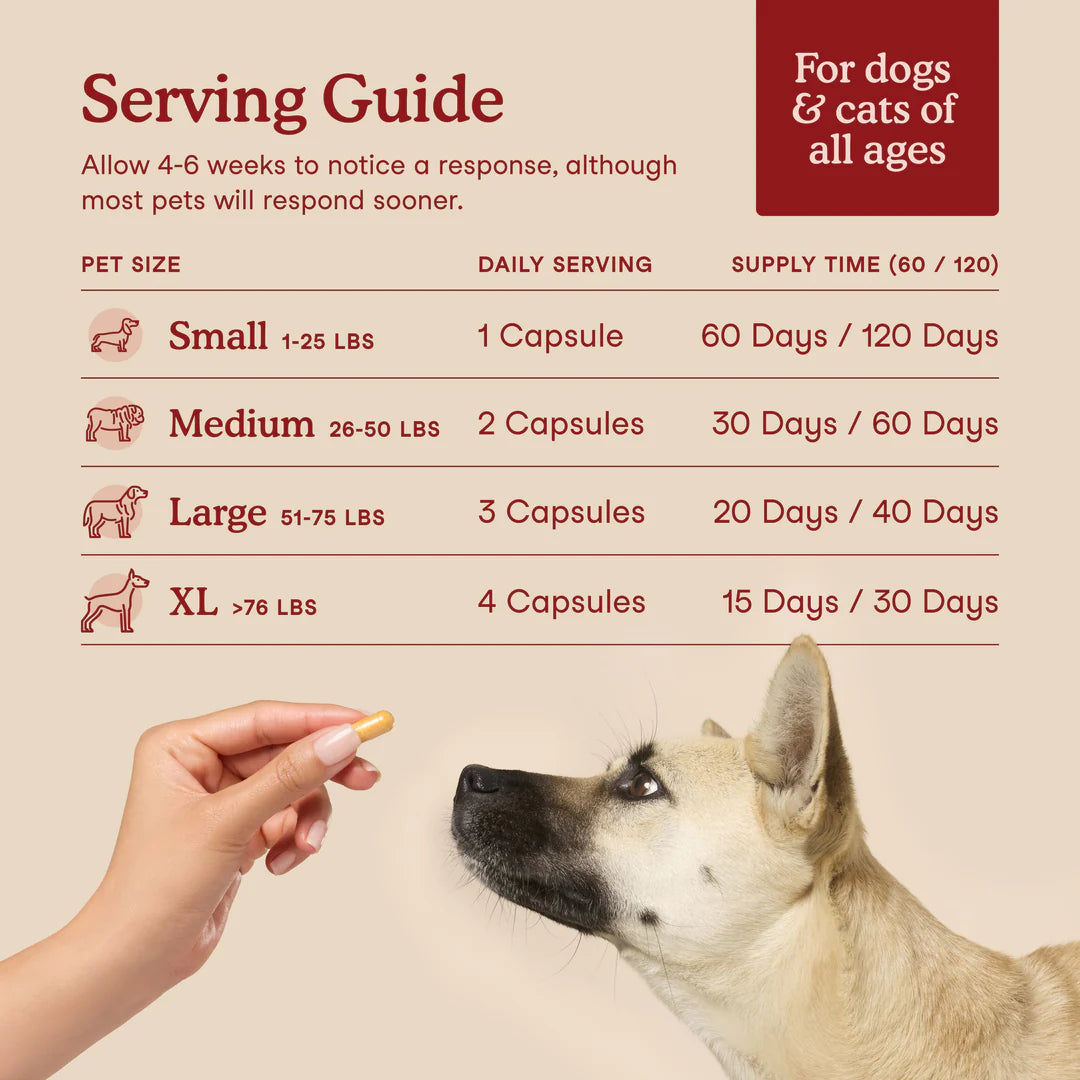Fera Pets Cardiac Support For Dogs and Cats, Pet Supplement, 60-Count