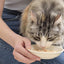 Inaba Chicken Stew Chicken & Tuna Recipe, Wet Cat Food, 1.4-oz Case of 6