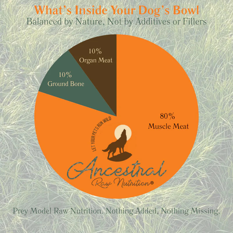Ancestral Raw Nutrition Chicken & Smelt Chunky Grind Pucks , Frozen Raw Dog Food, 5-lb Bag