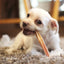 Tuesday's Natural Dog Company, 6-inch Bully Sticks Odor Free, Dog Chew, 8-oz Bag