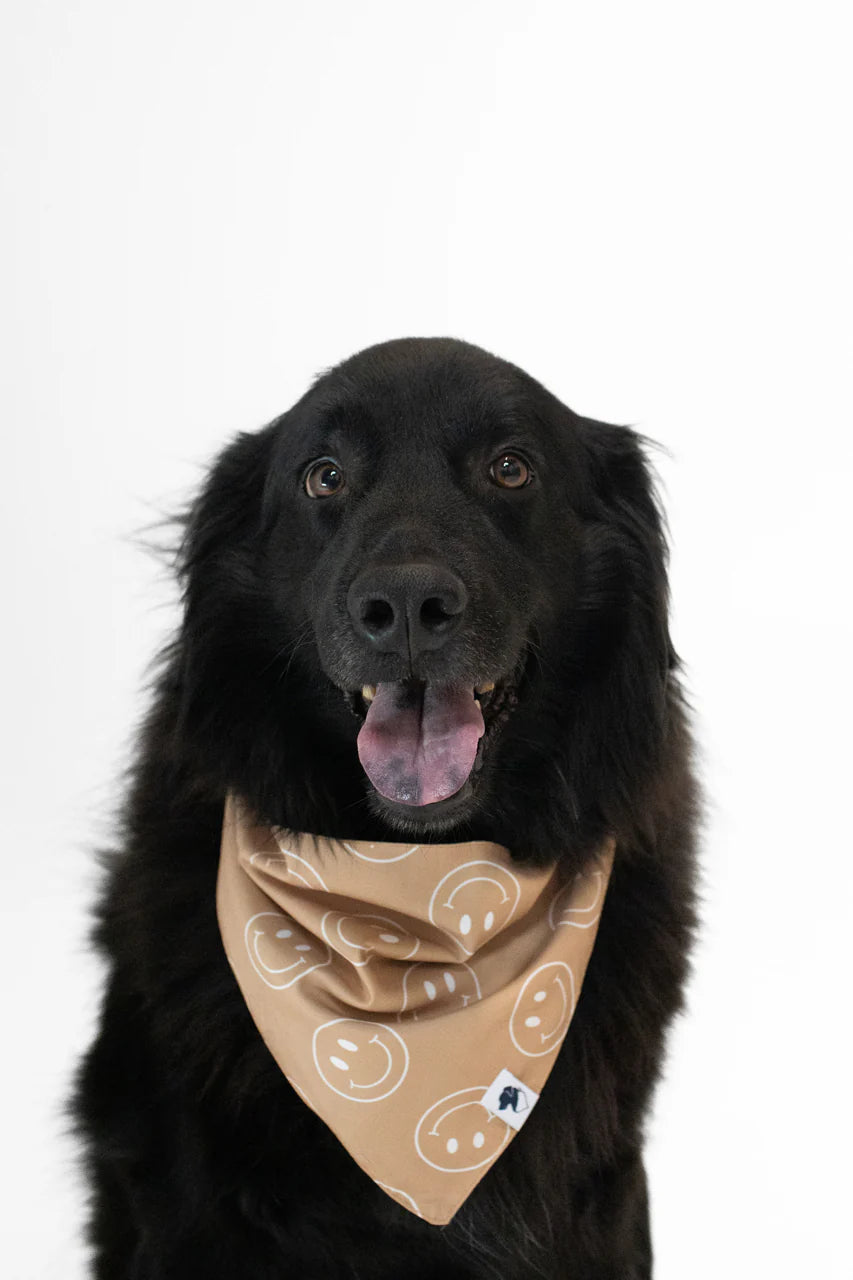 Dog Bandana Co. Smiles Dog Bandana Tie & Snap