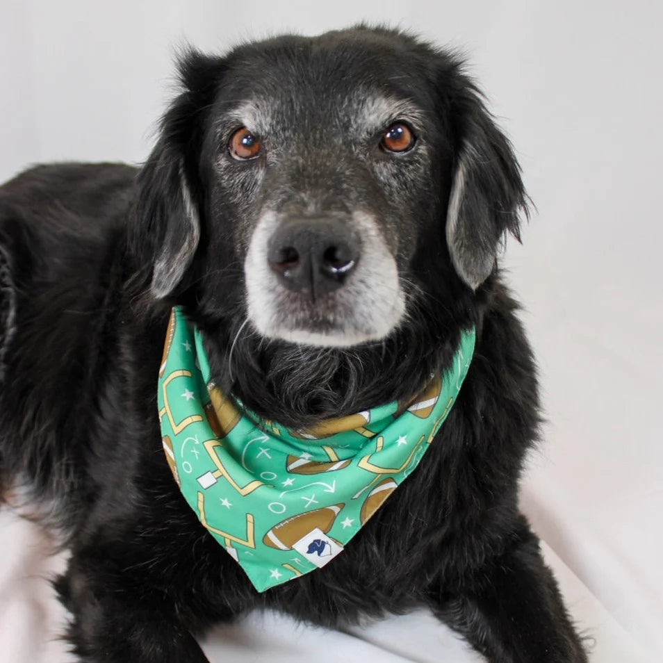 Dog Bandana Co. Football & Baseball Dog Bandana Tie & Snap