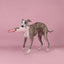 Chewffon Pink Champagne Squeaky, Dog Toy