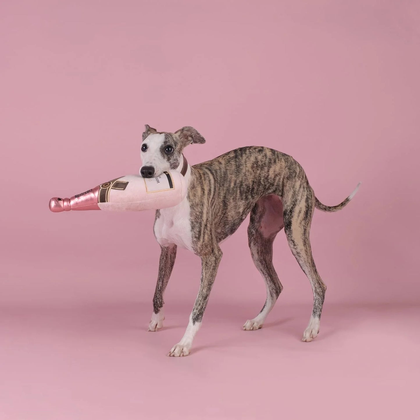 Chewffon Pink Champagne Squeaky, Dog Toy