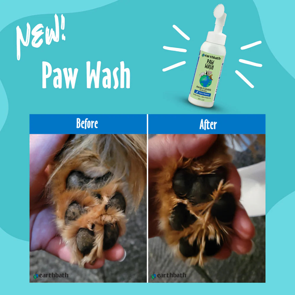 Earthbath Paw Wash, No-Rinse Foaming Cleanser, 8-oz