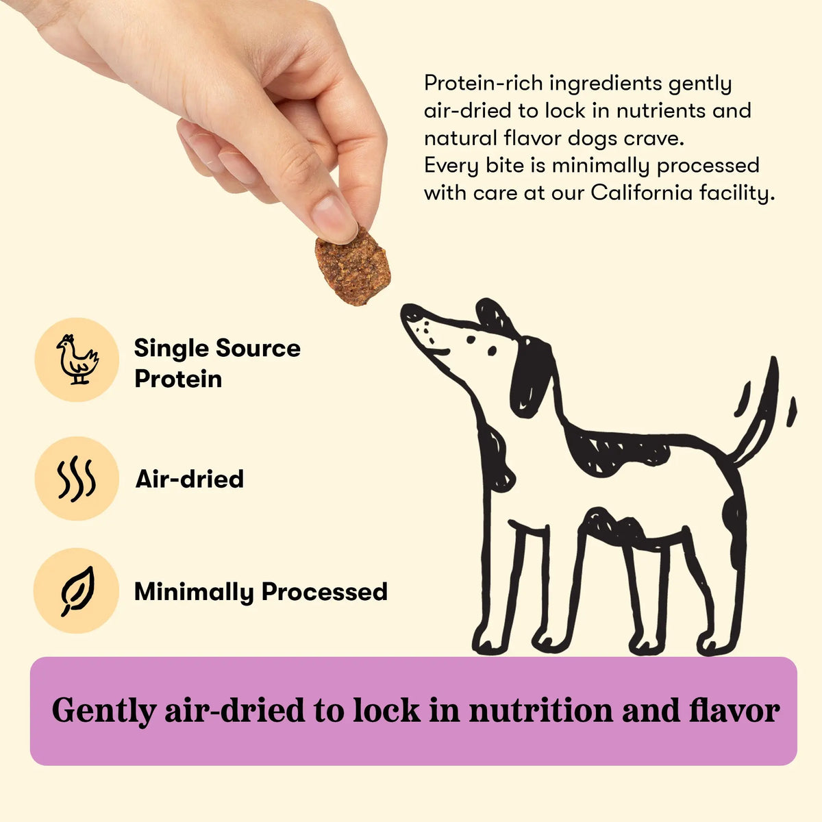 Plato Jerky Bites Chicken with Blueberry, Dog Treat