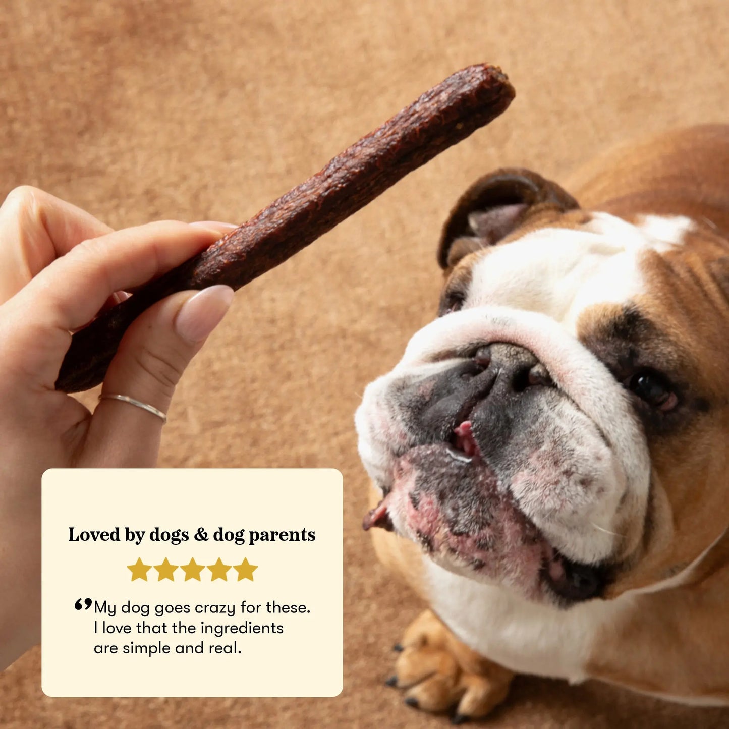 Plato Thinkers Meat Stick Dog Treats, Salmon Recipe