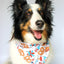 Dog Bandana Co. Patriotic Summer Dog Bandana Tie & Snap