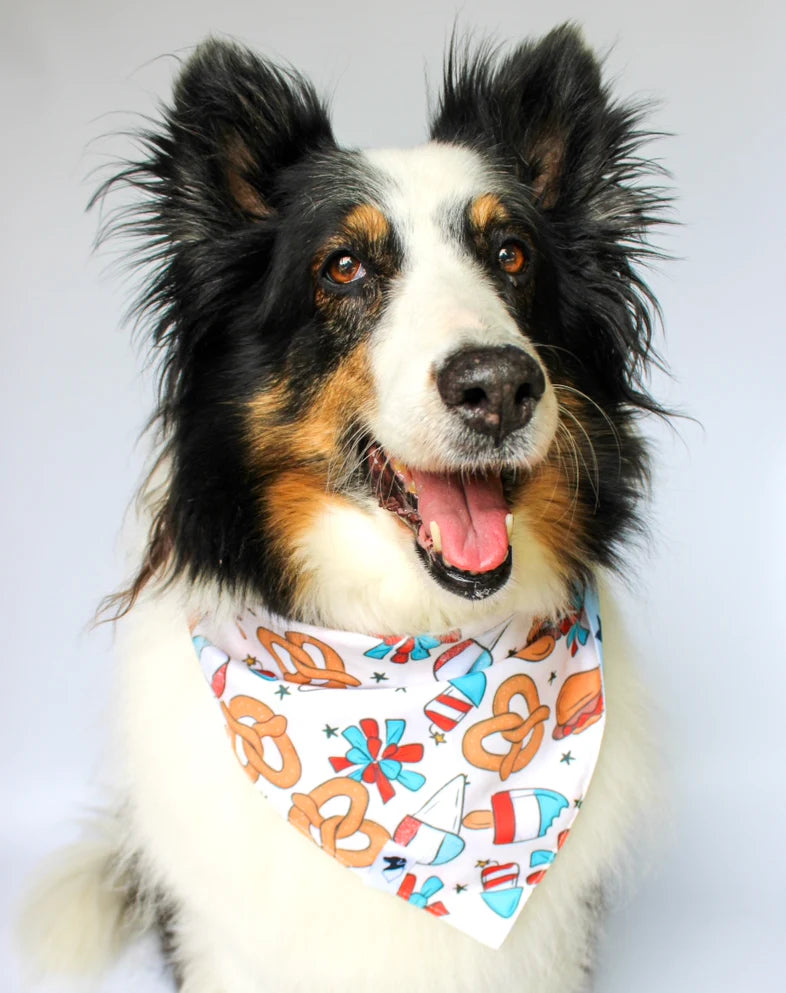Dog Bandana Co. Patriotic Summer Dog Bandana Tie & Snap