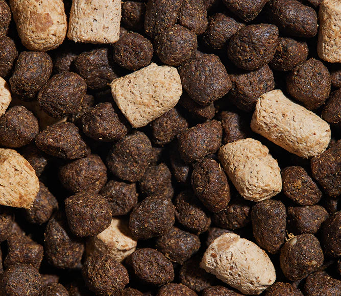 Open Farm RawMix Great Plains Grain-Free, Dry Dog Food