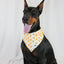 Dog Bandana Co. Pizza & Food Dog Bandana Tie & Snap