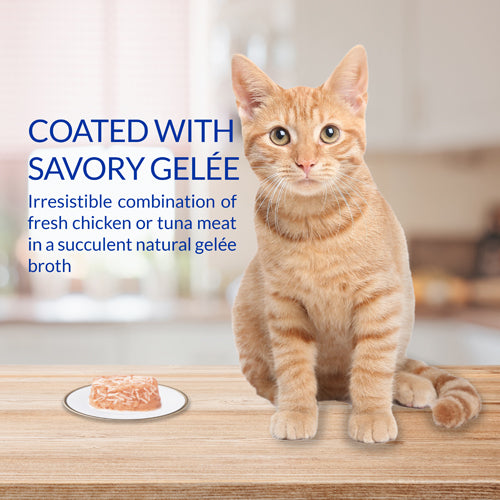 Inaba Twins Tuna & Chicken with Salmon Recipe, Wet Cat Food, 1.23-oz Case of 6