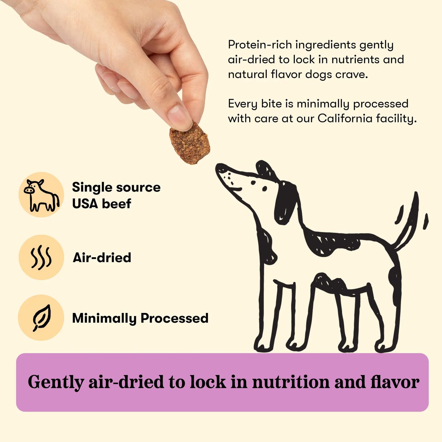 Plato Beef With Bone Broth Jerky Bites, Dog Treat, 6-oz Bag