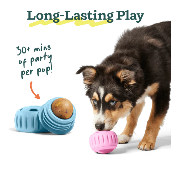 Woof Pupsicle Pops - Birthday Recipe