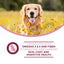 Fromm Nutritionals Sensitive Skin & Stomach Pate, Wet Dog Food, 13-oz Case of 12