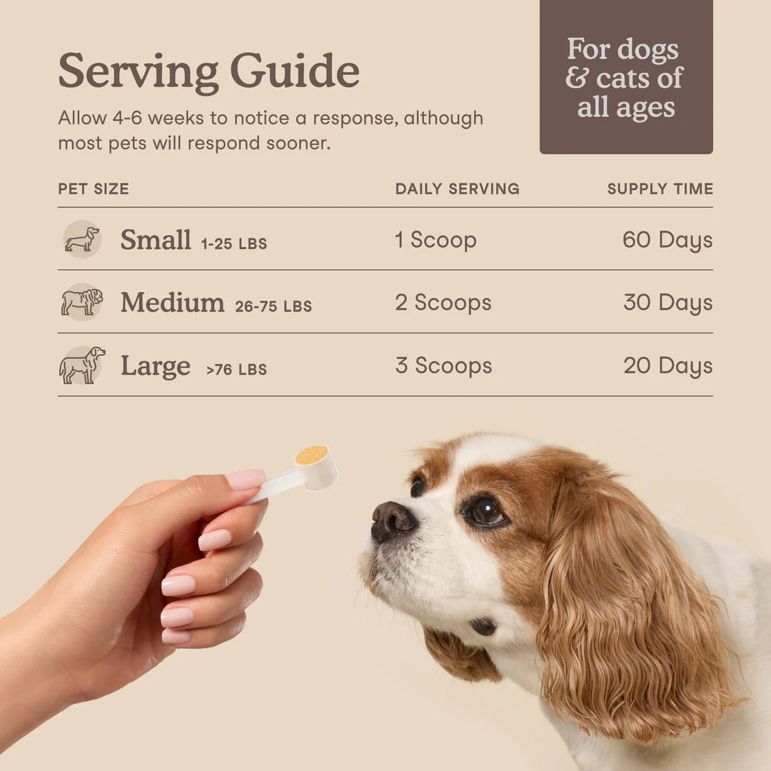 Fera Pets Liver Support For Dogs and Cats, Pet Supplement, 2.5-oz