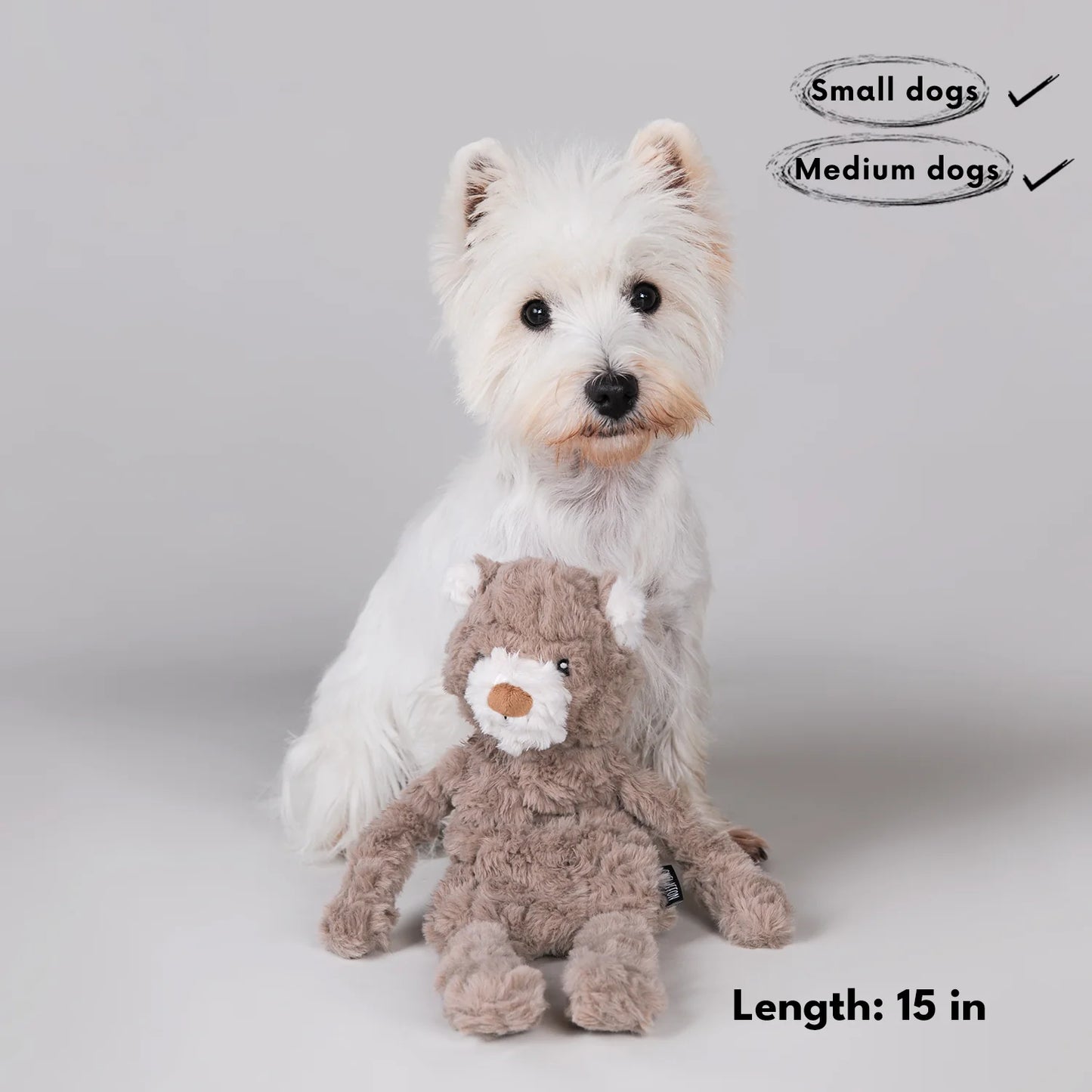 Chewffon Stuffless Bear, Dog Toy