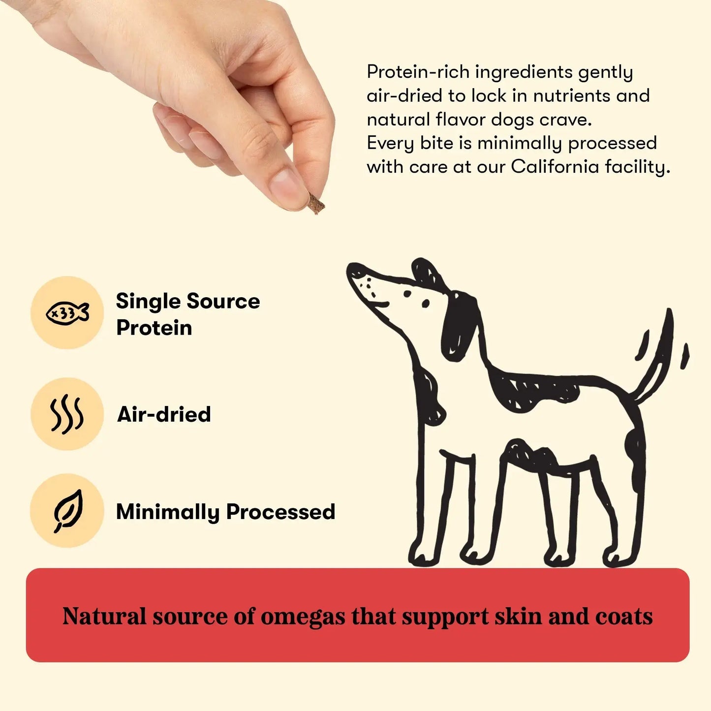 Plato Small Bites Meaty Morsel Dog Treats, Salmon Recipe