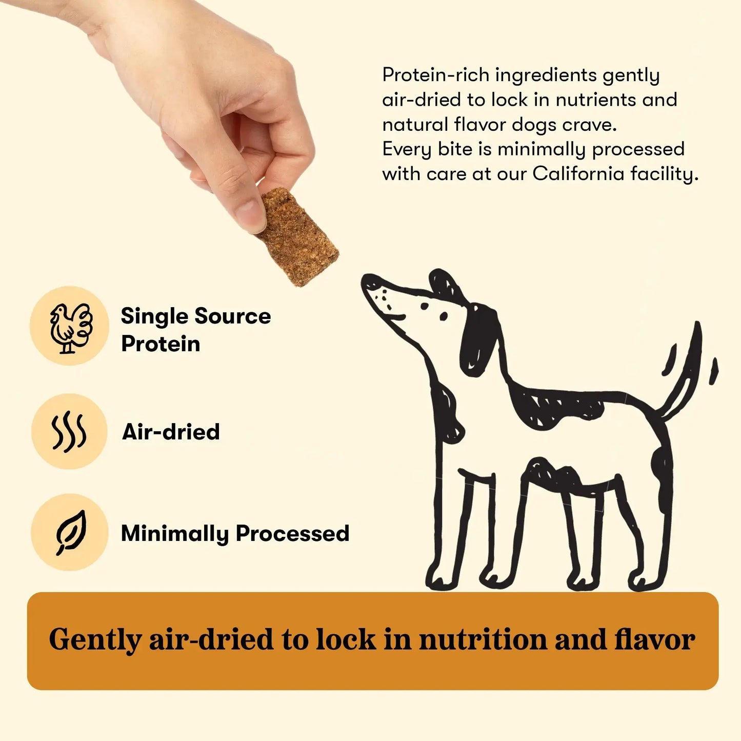 Plato Real Strips Grain Free Meat Bar Dog Treats, Turkey And Pumpkin Recipe