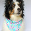 Dog Bandana Co. Summer Beach Dog Bandana, Tie & Snap