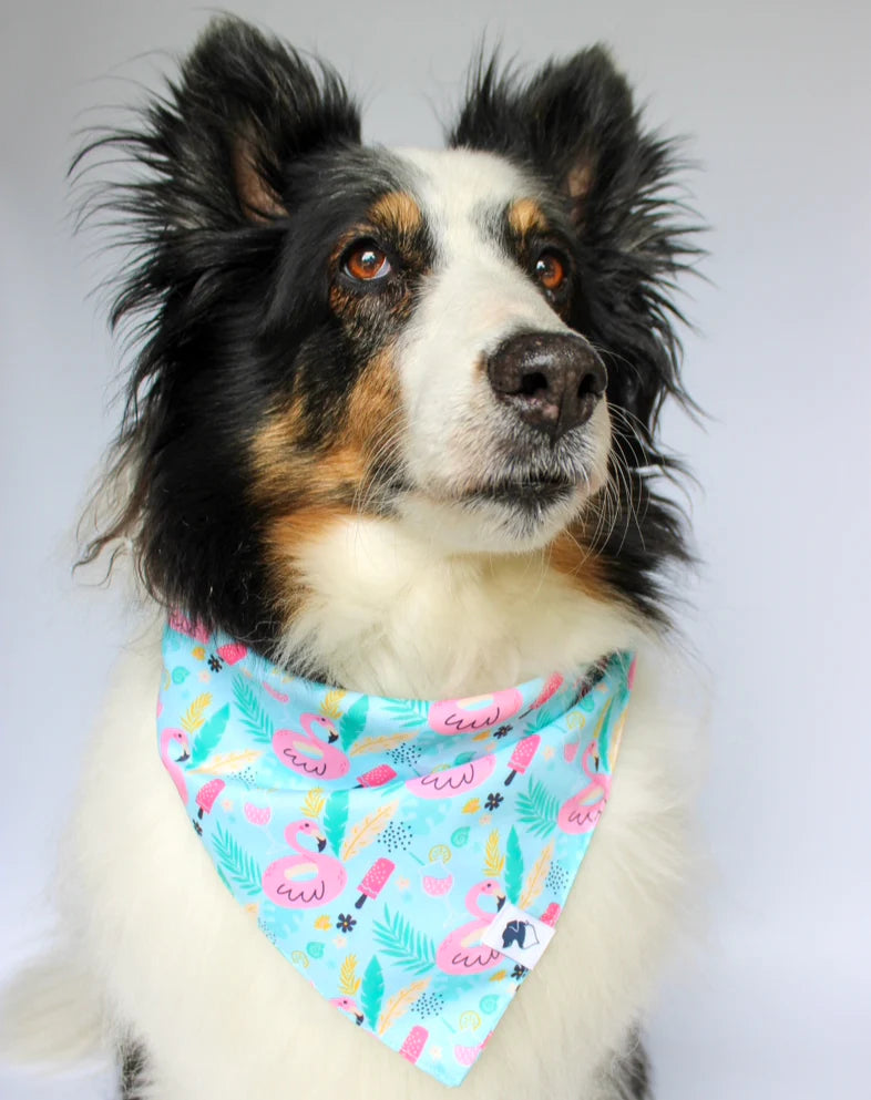 Dog Bandana Co. Summer Beach Dog Bandana, Tie & Snap