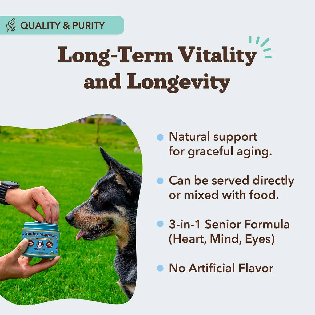 Natural Dog Company Senior Support Chew, Dog Supplement, 90-count, 9.5-oz