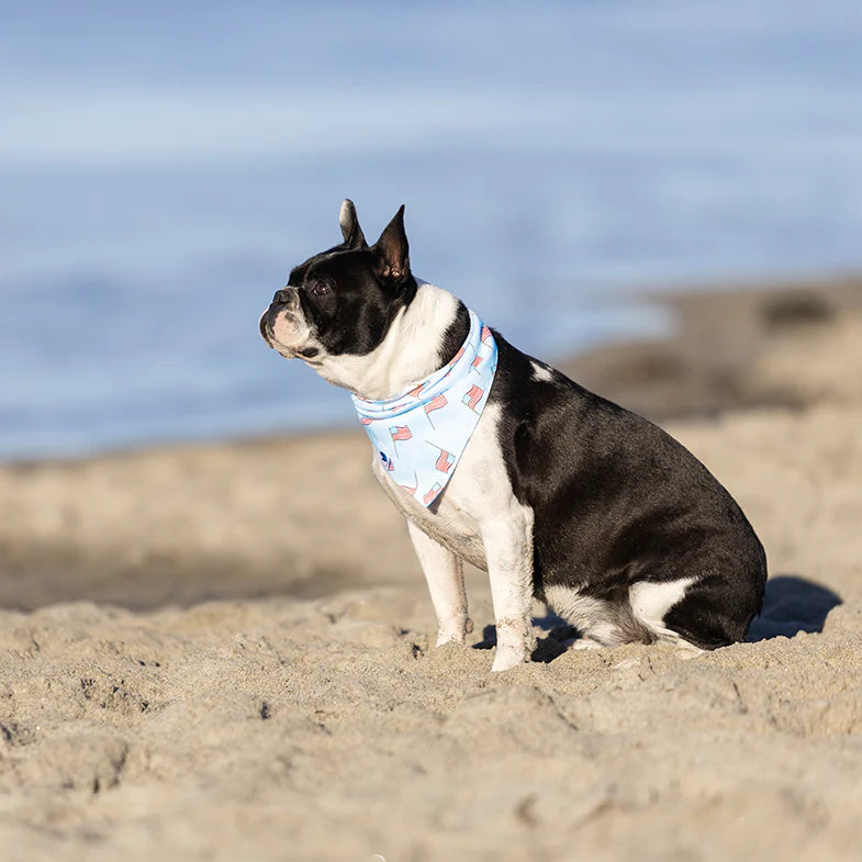 Dog Bandana Co. USA Dog Bandana, Tie & Snap