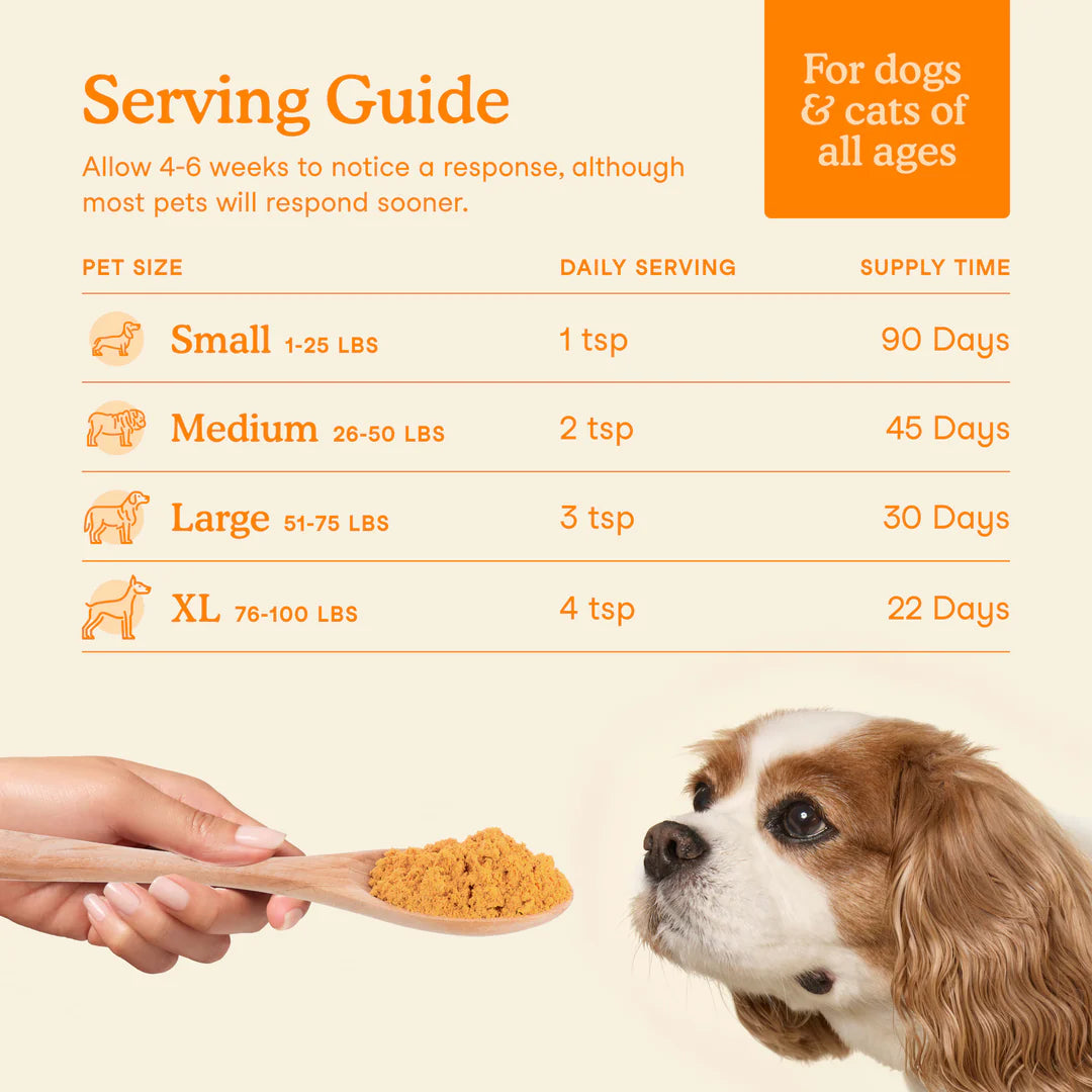 Fera Pets Pumpkin Plus Fiber Support For Dogs and Cats, Pet Supplement, 8-oz