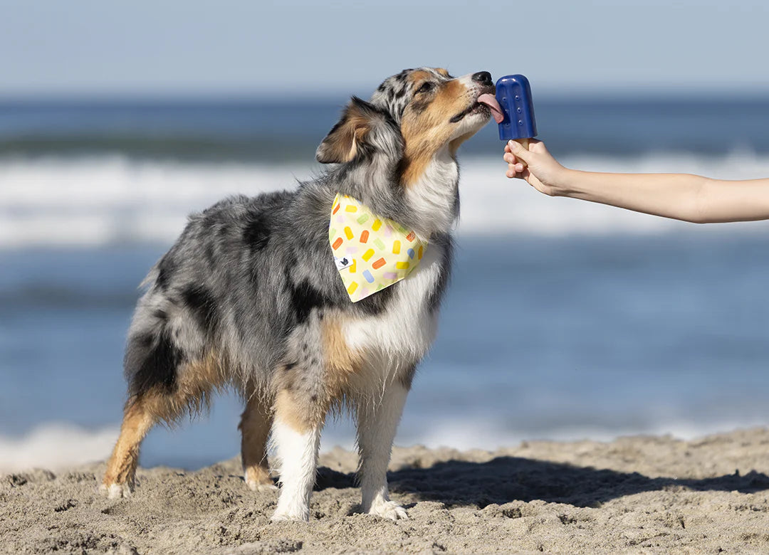 Dog Bandana Co. Popsicle Dog Bandana Tie & Snap
