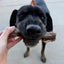 Tuesday's Natural Dog Company, 7-inch Charcoal Wrapped Collagen Stick, Single Dog Chew