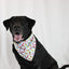 Dog Bandana Co. Pizza & Food Dog Bandana Tie & Snap