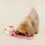 Chewffon Strawberry Cake Interactive Snuffle, Dog Toy