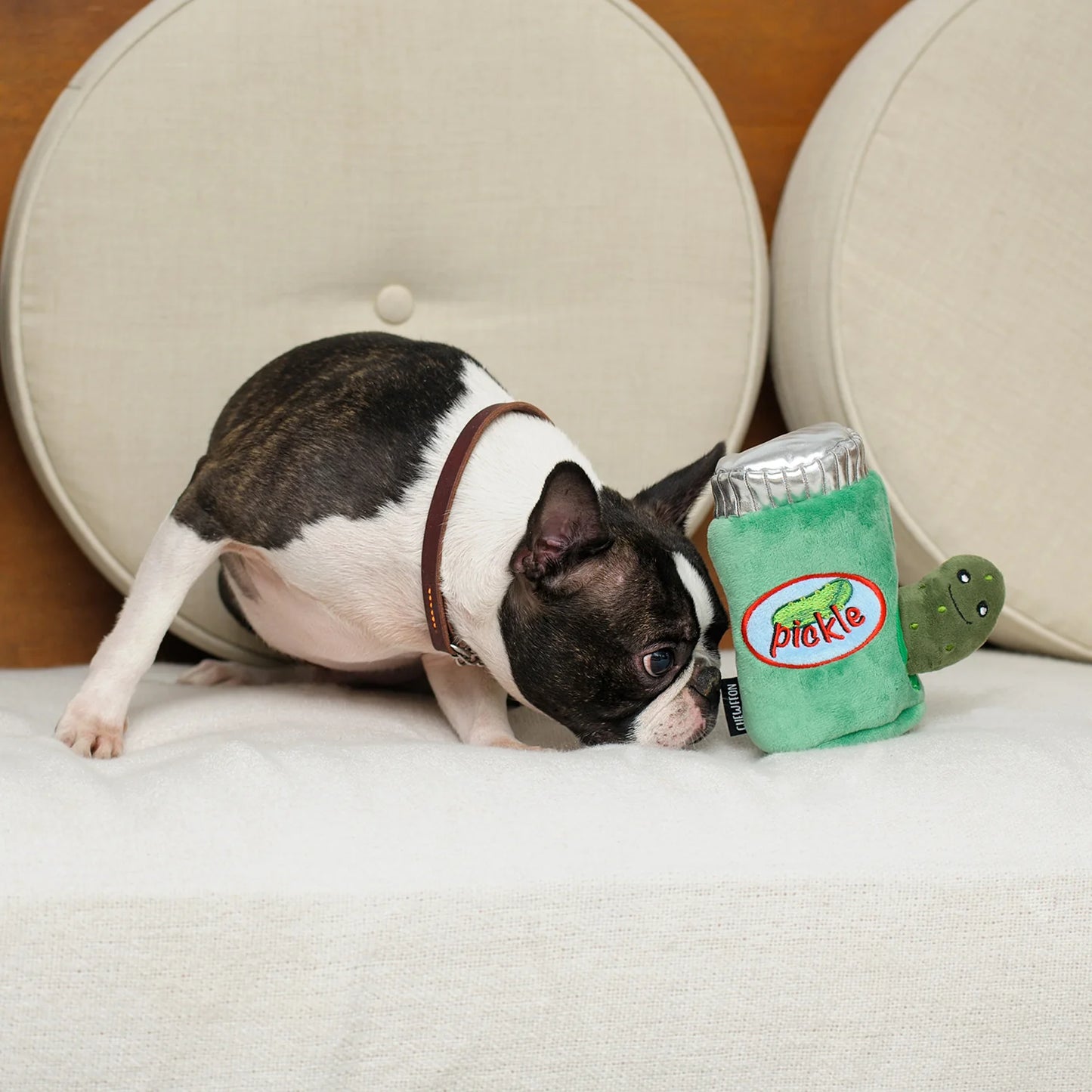 Chewffon Pickle Squeaky, Dog Toy